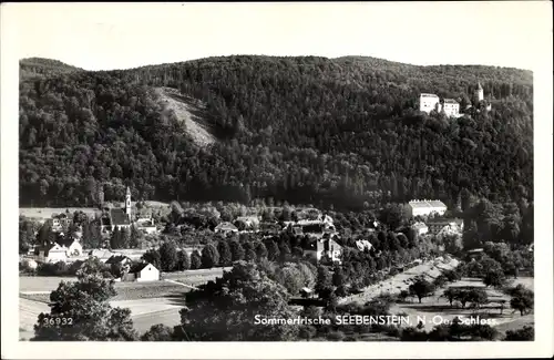 Ak Seebenstein in Niederösterreich, schöne Detailansicht