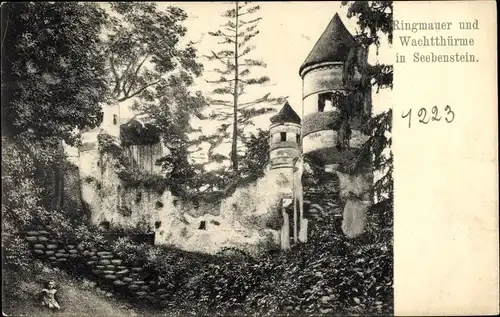 Ak Seebenstein in Niederösterreich, schöne Detailansicht