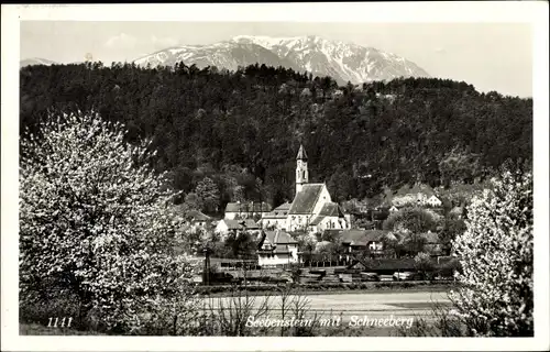 Ak Seebenstein in Niederösterreich, schöne Detailansicht