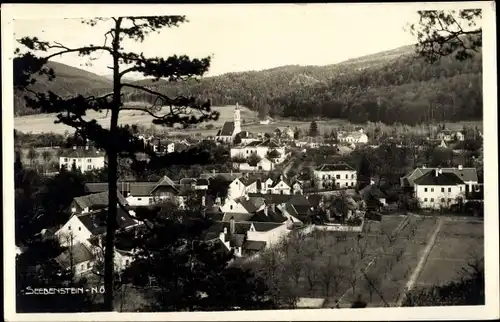 Ak Seebenstein in Niederösterreich, schöne Detailansicht