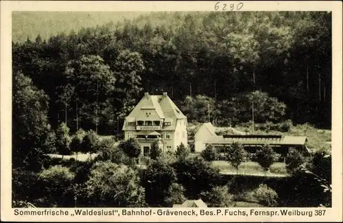 Ak Gräveneck Weinbach in Hessen, Sommerfrische Waldeslust, Bes. P. Fuchs, Waldlandschaft