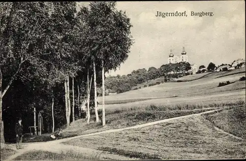 Ak Krnov Jägerndorf Mährisch Schlesien, Burgberg, Kirchtürme