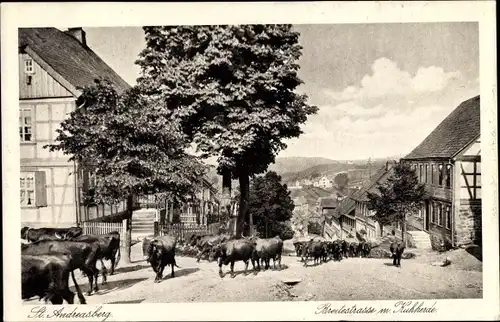 Ak St. Andreasberg Braunlage im Harz, Breitestraße mit Kuhherde