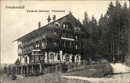 Ak Freudenstadt im Nordschwarzwald, Waldhotel Stokinger, Palmenwald