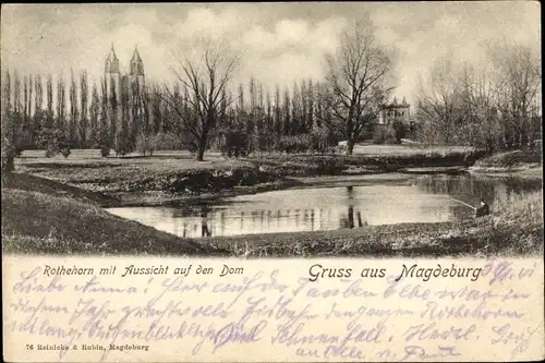 Ak Magdeburg in Sachsen Anhalt, schöne Detailansicht