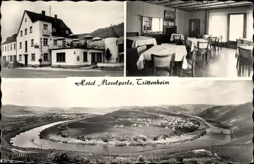 Ak Trittenheim in Rheinland Pfalz, Hotel Moselperle, Inh. R. Schneider, Panorama vom Ort