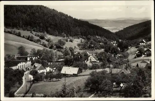 Ak Jagniątków Agnetendorf Hirschberg Riesengebirge Schlesien, Ortschaft mit Landschaftsblick