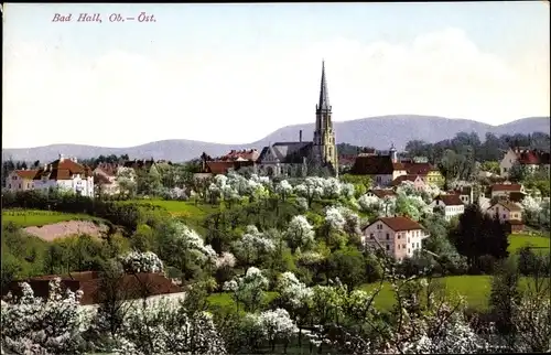 Ak Bad Hall in Oberösterreich, schöne Detailansicht