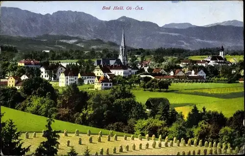 Ak Bad Hall in Oberösterreich, schöne Detailansicht