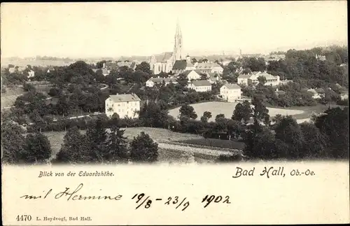 Ak Bad Hall in Oberösterreich, schöne Detailansicht