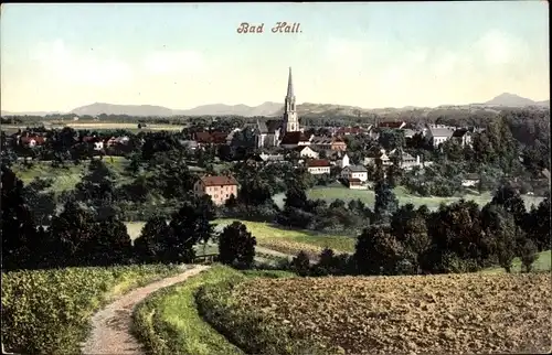 Ak Bad Hall in Oberösterreich, schöne Detailansicht