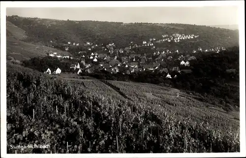 Ak Uhlbach Stuttgart in Baden Württemberg, Weinanbau, Weinberg, Panorama vom Ort