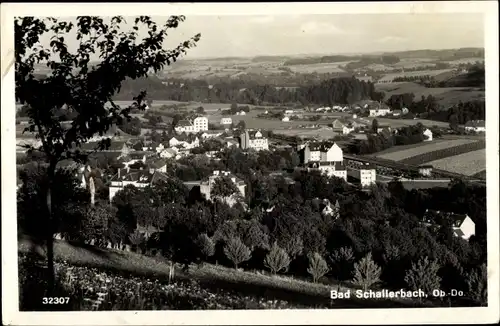 Ak Bad Schallerbach in Oberösterreich, schöne Detailansicht