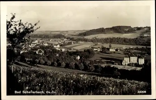 Ak Bad Schallerbach in Oberösterreich, schöne Detailansicht