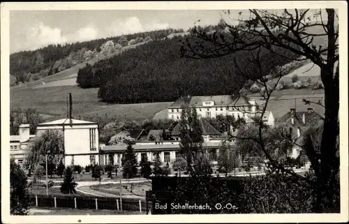 Ak Bad Schallerbach in Oberösterreich, schöne Detailansicht