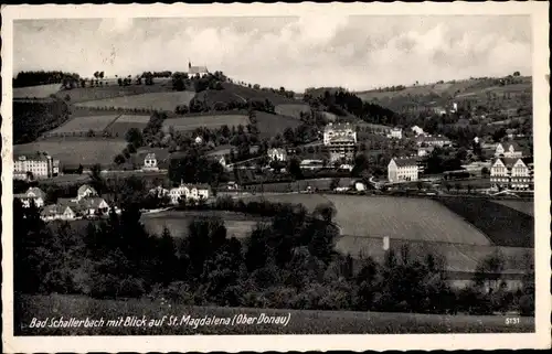 Ak Bad Schallerbach in Oberösterreich, schöne Detailansicht