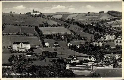 Ak Bad Schallerbach in Oberösterreich, schöne Detailansicht