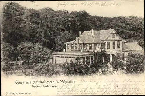 Ak Wolfenbüttel in Niedersachsen, Blick auf Antoinettenruh, Besitzer Gustav Lutz, Wald