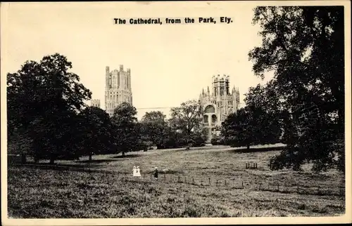 Ak Ely East England, View of the Cathedral from the Park