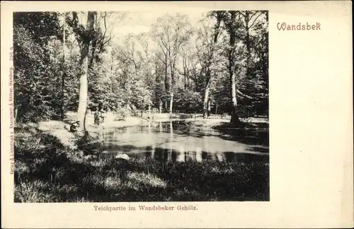 Ak Hamburg Wandsbek, Teichpartie im Wandsbeker Gehölz