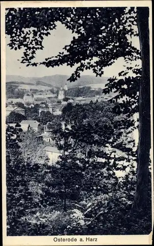 Ak Osterode in Niedersachsen, Stadtpanorama, Waldpartie