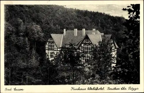 Ak Bad Essen in Niedersachsen, Blick auf das Kurhaus Waldhotel, Chr. Rögge