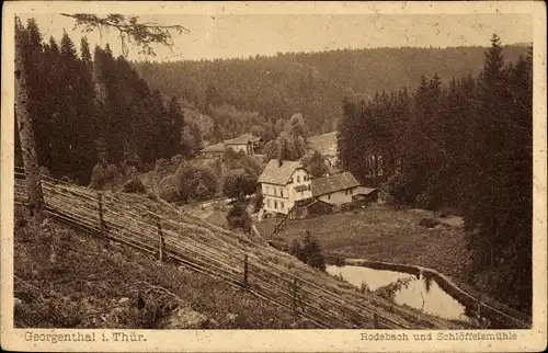 Ak Georgenthal in Thüringen, schöne Detailansicht