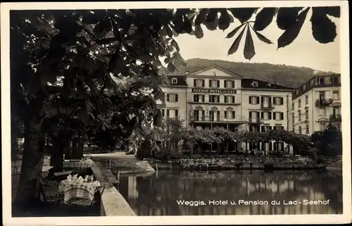 Ak Weggis Kt. Luzern Schweiz, Hotel und Pension du Lac, Seehof, Terrasse
