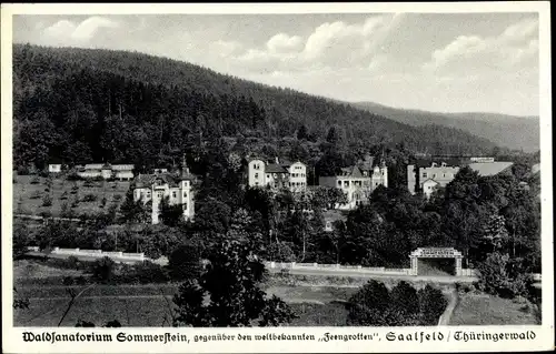 Ak Saalfeld in Thüringen, schöne Detailansicht