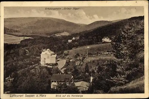 Ak Seesen in Niedersachsen, Blick auf die Harzberge und das Erholungsheim Grüner Jäger