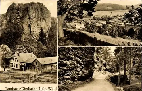 10 alte Ak Tambach Dietharz im Thüringer Wald, diverse Ansichten