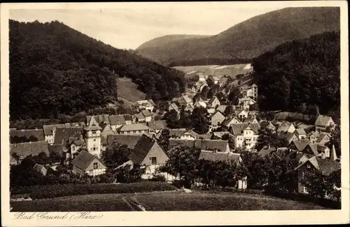 Ak Bad Grund im Harz, Totalansicht der Ortschaft mit Umgebung