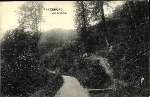 Ak Ratzeburg in Schleswig Holstein, Waldpartie