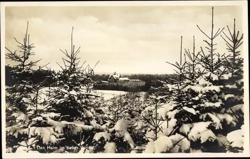 Ak Dassel in Niedersachsen, Blick durch verschneite Tannen auf das Erholungsheim im Solling