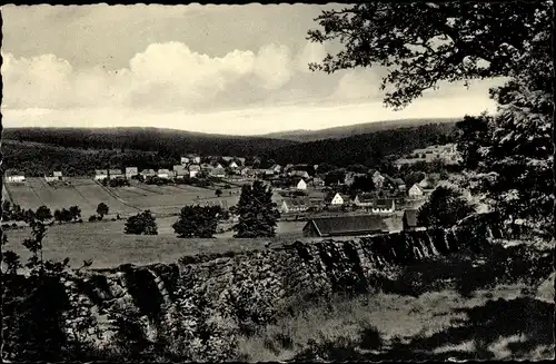 Ak Holzminden im Weserbergland, Panorama vom Ort