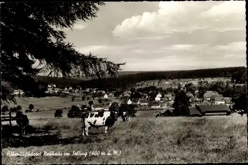 Ak Neuhaus im Solling Holzminden in Niedersachsen, Panoramaansicht vom Ort, Kuh