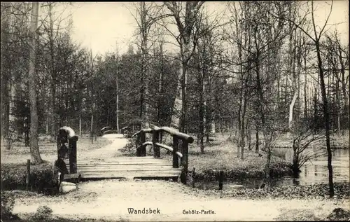 Ak Hamburg Wandsbek, Partie im Gehölz, Weg mit Brücke, Wasserlauf