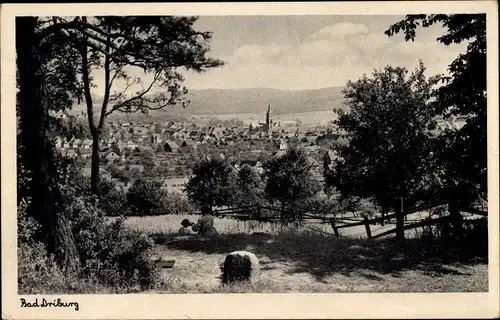 Ak Bad Driburg im Kreis Höxter, Blick auf den Ort mit Umgebung