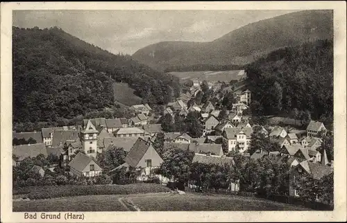 Ak Bad Grund im Harz, Panorama der Ortschaft und Umgebung