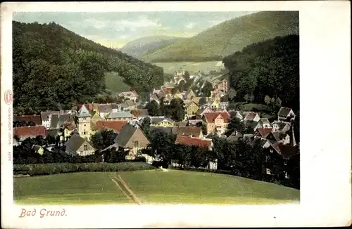 Ak Bad Grund im Harz, Totalansicht der Ortschaft mit Umgebung, Wald, Häuser