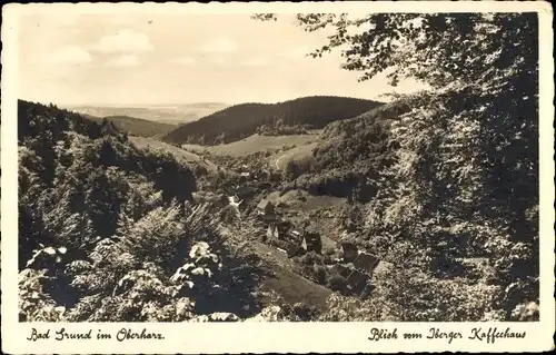 Ak Bad Grund im Harz, Blick auf den Ort mit Umgebung vom Iberger Kaffeehaus aus