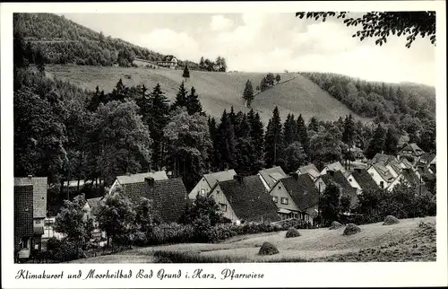 Ak Bad Grund im Harz, Häuser auf der Pfarrwiese, Siedlung, Wald
