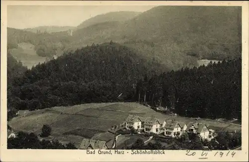 Ak Bad Grund im Harz, Schönhoffsblick, Blick auf den Ort, Wald, Stengel 42256