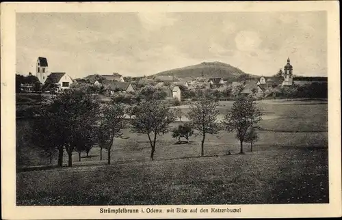 Ak Strümpfelbrunn Waldbrunn Neckar Odenwald Kreis, Blick auf den Ort und Katzenbuckel