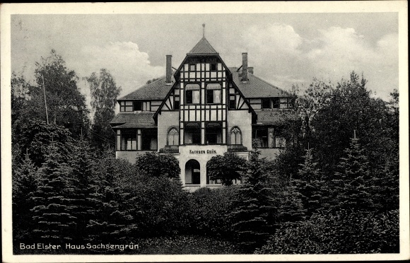 Ak Bad Elster im Vogtland, Haus Sachsengrün, Parkansicht