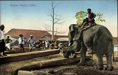 Ak Indien, Elephant stacking timber, Elefant stapelt Baumstämme, Arbeiter