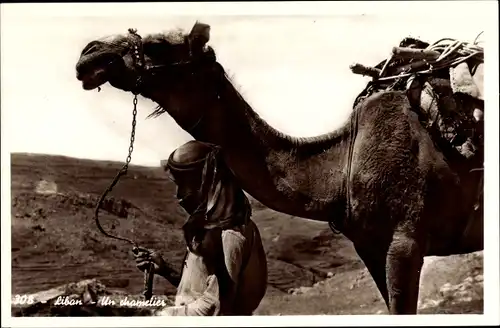 Ak Libanon, Un chamelier, Kamelführer mit Kamel, Araber