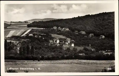 Ak Stecklenberg Thale im Harz, Blick auf Ortschaft und Umgebung