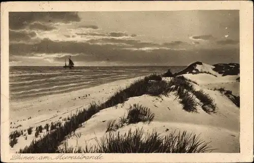 Ak Ostseebad Zinnowitz Usedom, Ansicht von den Dünen am Meeresstrand