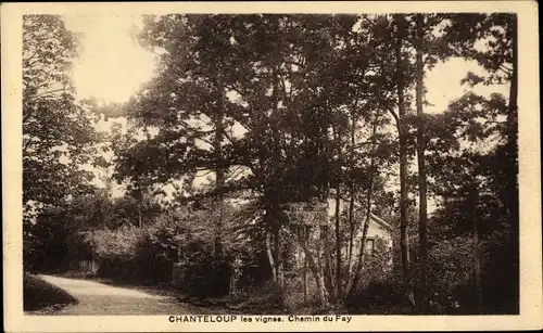 Ak Chanteloup les Vignes Yvelines, Chemin du Fay